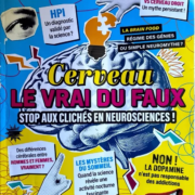 Les neurosciences fascinent, éclairent, mais parfois… elles sont caricaturées comme un mauvais film hollywoodien : effets spéciaux sans scénario scientifique. Faisons le tri entre les faits avérés et les clichés tenaces.