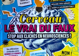 Les neurosciences fascinent, éclairent, mais parfois… elles sont caricaturées comme un mauvais film hollywoodien : effets spéciaux sans scénario scientifique. Faisons le tri entre les faits avérés et les clichés tenaces.
